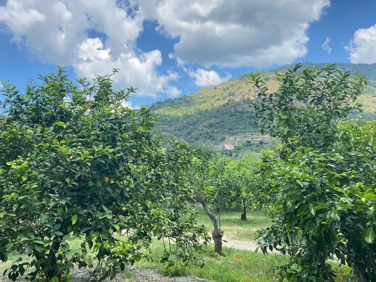 Casa vacanze Villa Casa Marietta Forza dʼAgro Italia